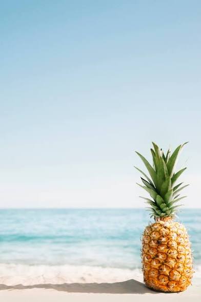 Summer Collection